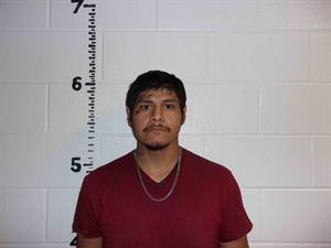 BUSTAMANTE, ANTHONY