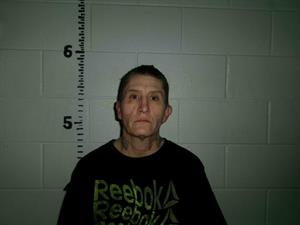 HEDDEN, ERIN