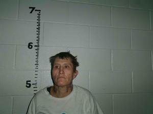 HEDDEN, ERIN