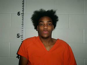 LEE-FRANCIS, DEMARI